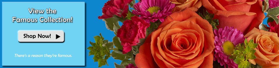 Flower Delivery to Orlando by Harry's Famous Flowers